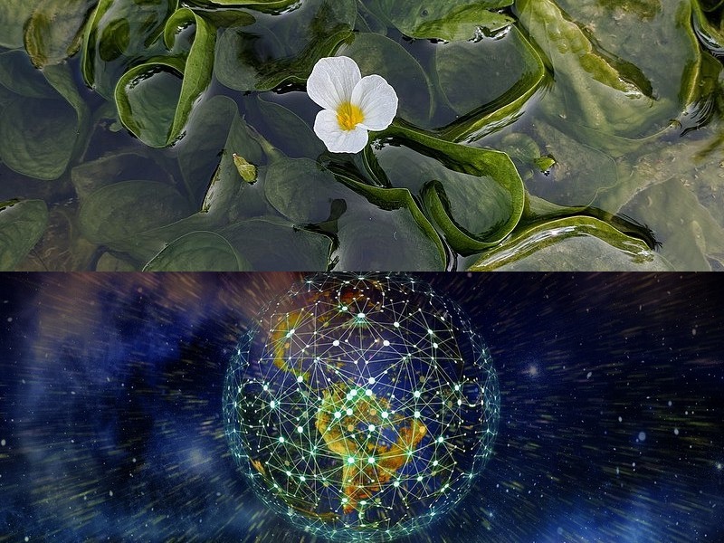 單片機(jī)方案開發(fā)