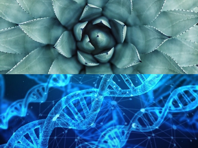 空調(diào)扇的原理是什么？