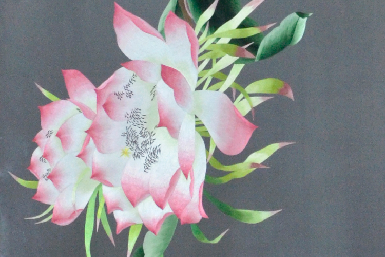 視頻監(jiān)控軟件開(kāi)發(fā)方案