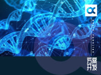 關(guān)于最新的智能手表，你不知道的秘密