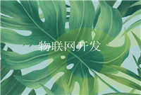 安卓手機應(yīng)用軟件開發(fā)的前景