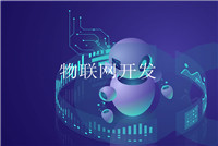 軟件開發(fā)環(huán)境設計方案