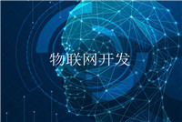 物聯(lián)網(wǎng)應用軟件開發(fā)