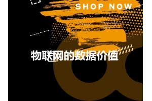 怎樣最大限度地發(fā)揮物聯(lián)網(wǎng)的數(shù)據(jù)價(jià)值？