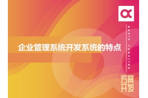 企業(yè)管理系統(tǒng)開(kāi)發(fā)系統(tǒng)的特點(diǎn)有哪些呢？