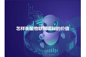 怎樣衡量物聯(lián)網(wǎng)項(xiàng)目的價(jià)值呢？