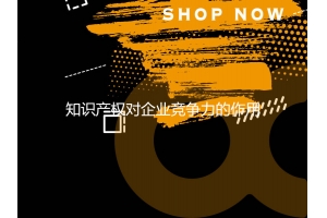 知識產權對企業(yè)競爭力的作用